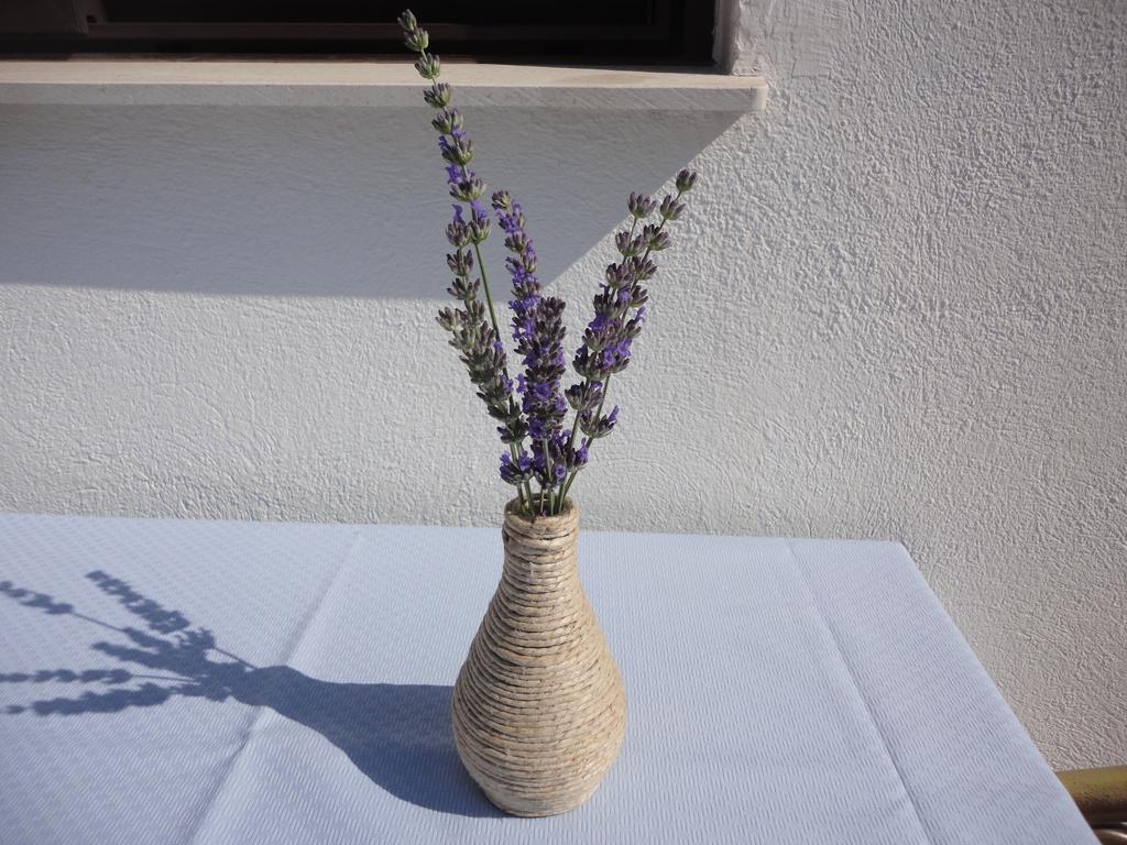 Guesthouse Apartment Bozica Μπολ Εξωτερικό φωτογραφία